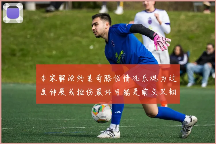 专家解读约基奇膝伤情况乐观为过度伸展或挫伤最坏可能是前交叉韧带撕裂